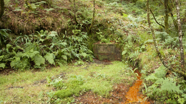 Fuente de As Buliqueiras