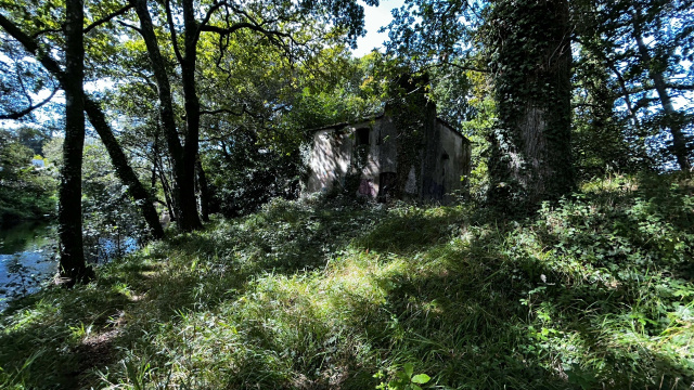 Molino de Alende